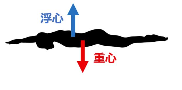 游泳移臂训练动作分解,自游泳怎么练习高肘抱水