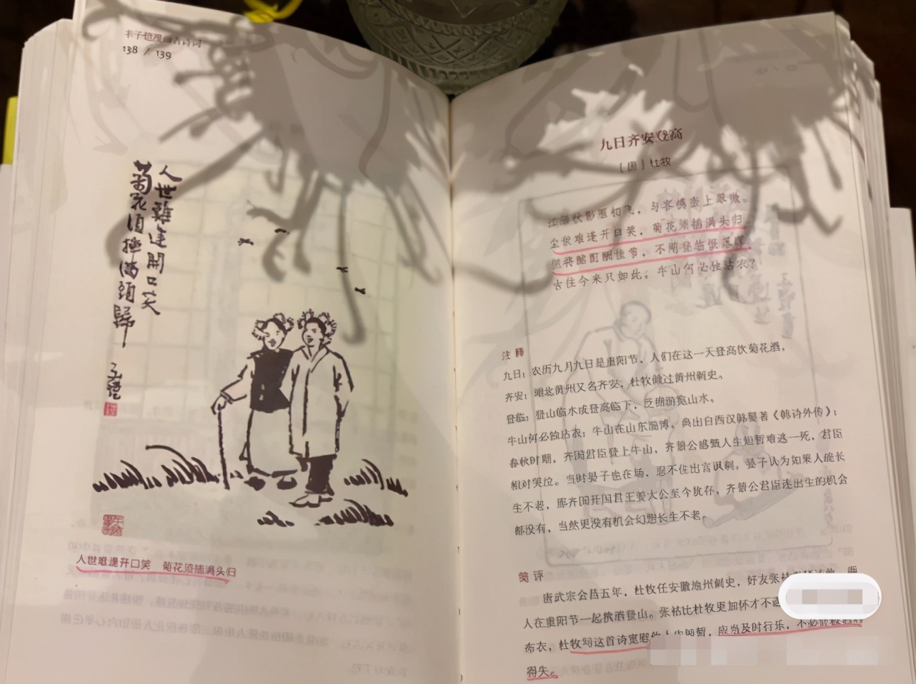 69岁张纪中,69岁张纪中娶小31岁娇妻