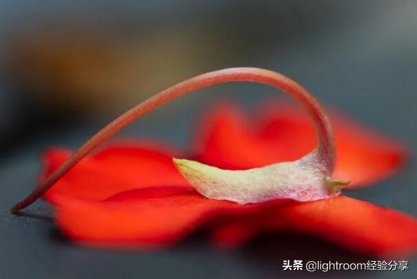 聚焦拍摄怎么弄,选择性聚焦电影片段