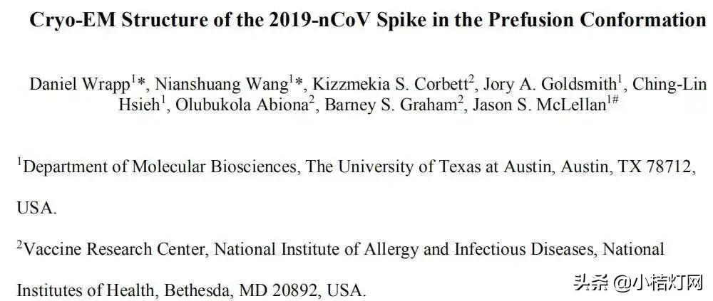 新冠病毒的帮凶,新冠病毒合并流感嗜血杆菌