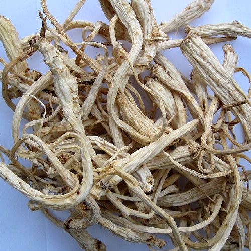 深山野生桔梗介绍,英山桔梗图片