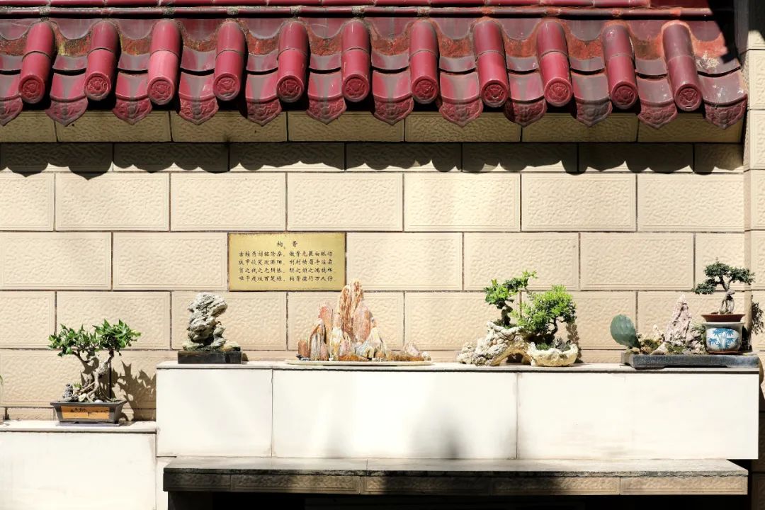 羡慕!快来看看江阴申港街道这些“美丽”榜样