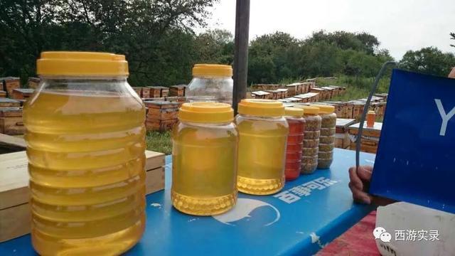 自驾环游世界第一人,自驾全球第一人