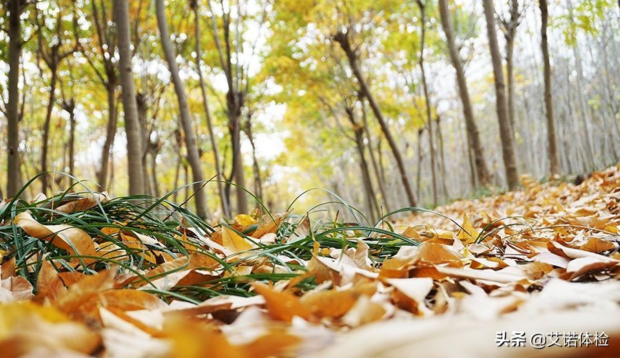 合肥景区免费景点,合肥旅游景点大全免费玩