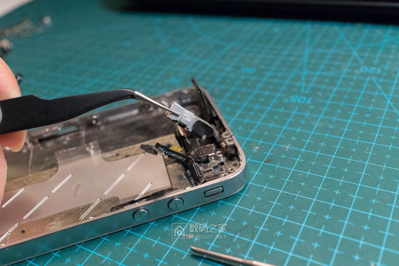 把未拆封的iphone4做成标本,iphone4被做成标本