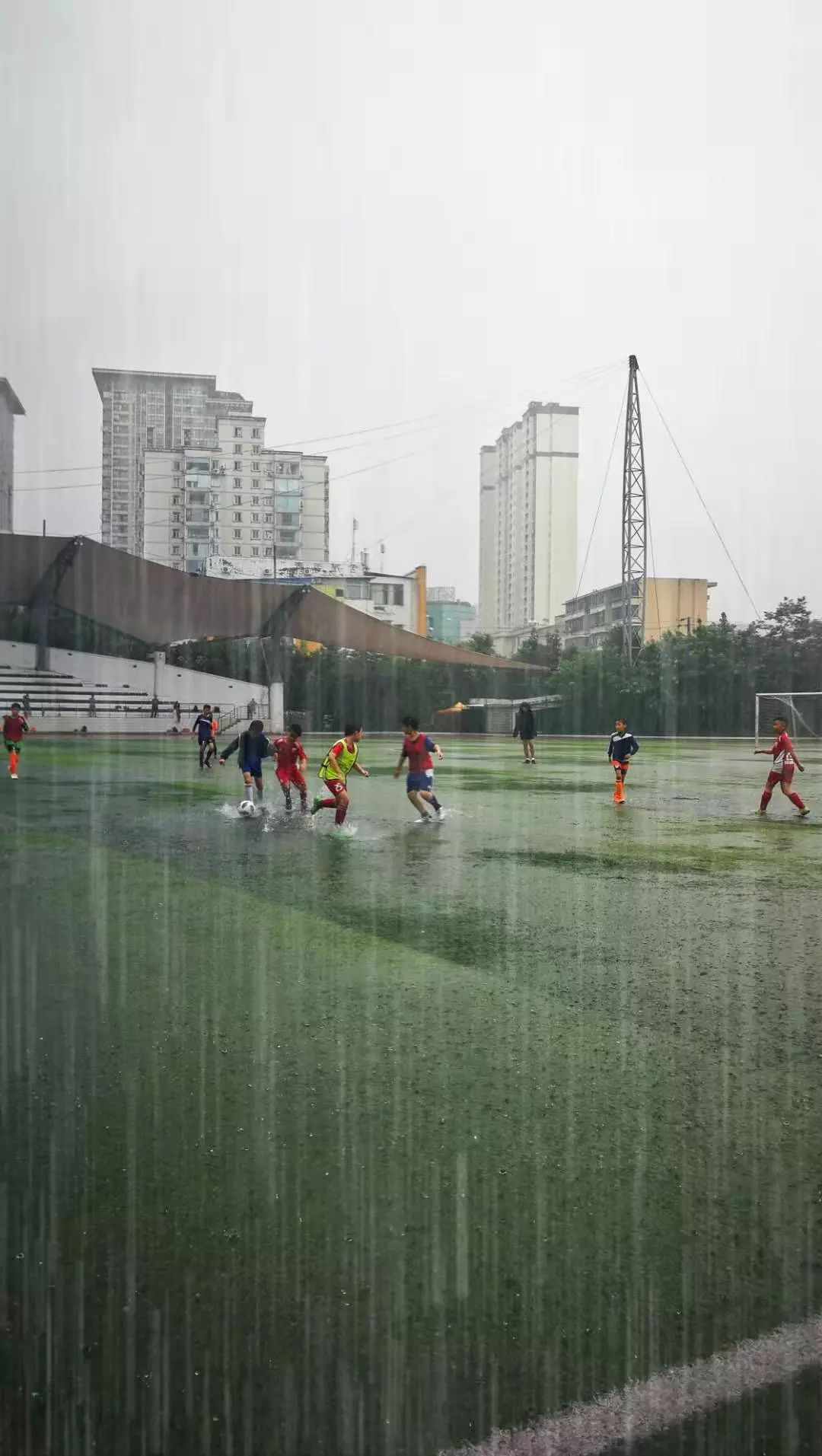 今日见恩师一熊天琪指导