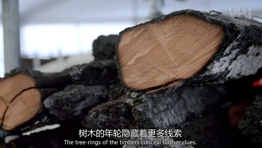 被大火烧毁的法国建筑,法国地标建筑着火