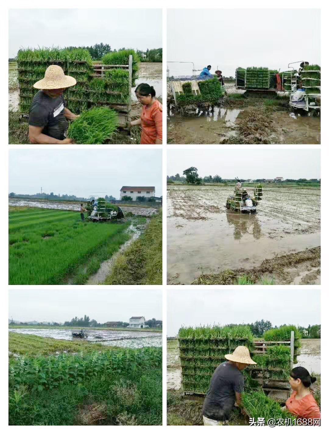 6年先后购买20多台涂化平种水稻我就认准东风井关