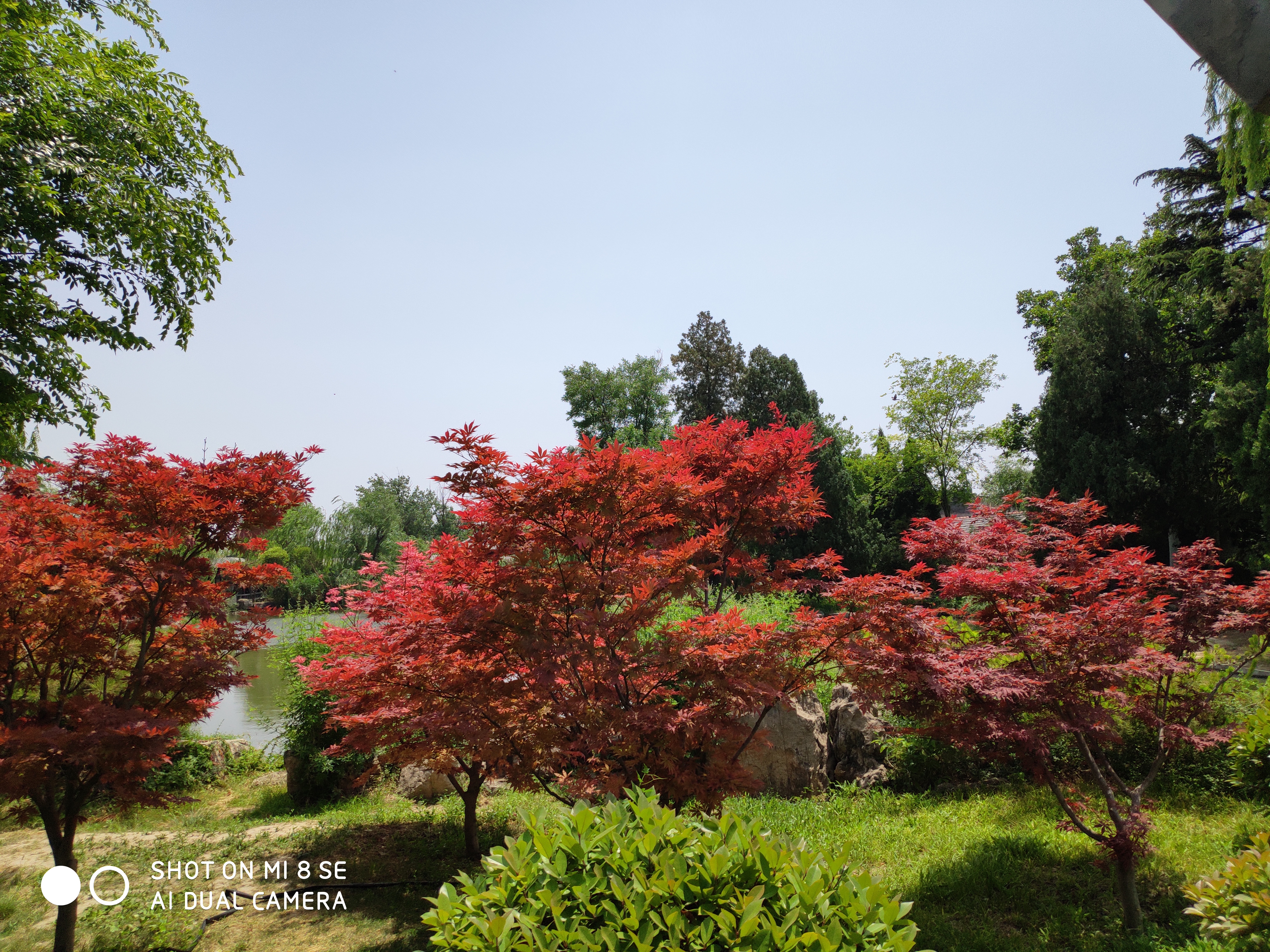 绾佃涔濆窞鍥涙捣,绾佃涔濆窞鍥涙捣婕函鍗冨勾鏄ョ