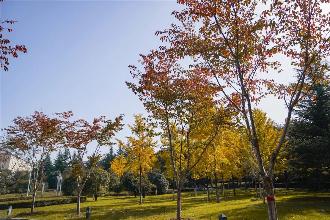 思源学院美景照片,西安思源学院秋景色