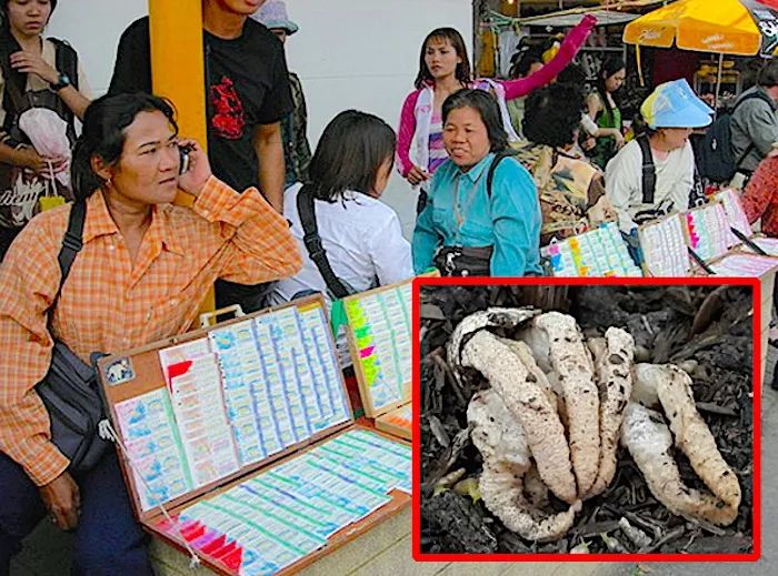 真有人买了01、02、03、04、05、06这组号码，还中奖了？哪说理去……