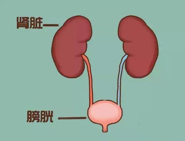 孩子4.5岁了还经常尿床，家长要注意（上）