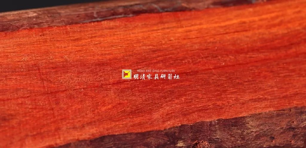 紫檀的真实身份,紫檀最后的样子