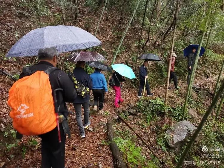 泰顺葛洋陶氏三兄弟修建的三条古道，等你来打卡～