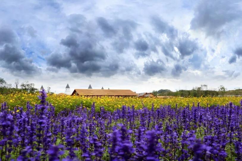 旅拍贵州！邂逅每一帧浪漫风景