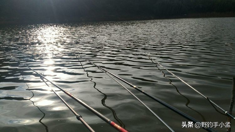 阴雨天钓鱼抛竿技巧图解,野钓大风天怎么抛竿快呢