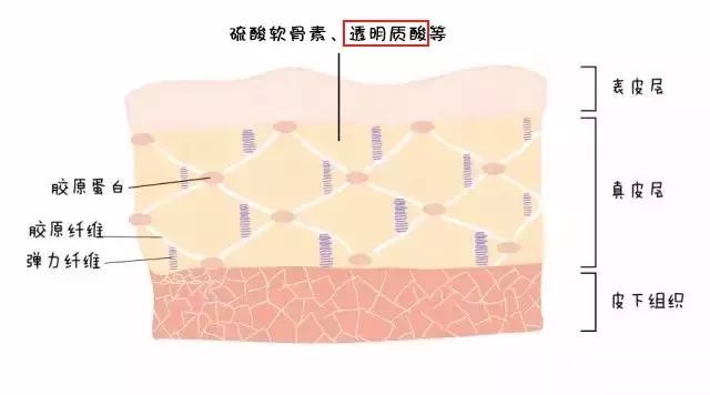 护肤品成分噱头,护肤成分透明质酸你了解多少