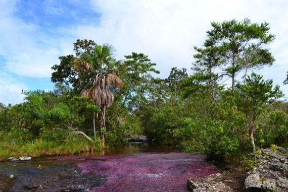 世界最美的十五条河流,世界上最美河流风景