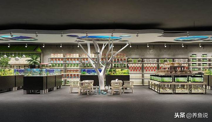 买观赏鱼建议在哪买,买观赏鱼去什么地方