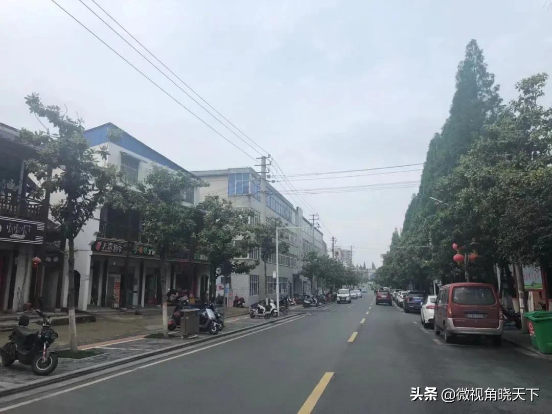 信阳最好的5所高中,信阳最好的十所高中