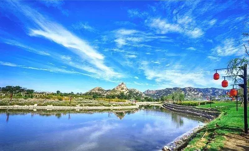 葡萄小镇攻略,长安区南寨西村太阳葡萄小镇