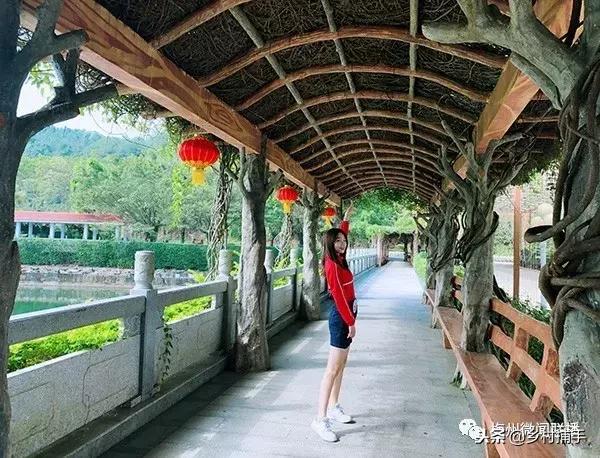 美丽的盛宴！“客家妹”选手完成四部MV拍摄，平远妹这样说