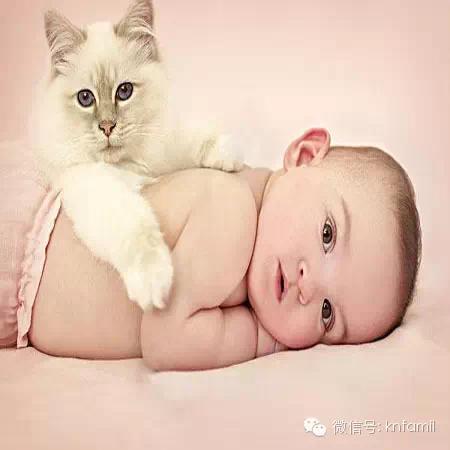 男孩子头型睡成什么样最好看,刚出生的宝宝怎么睡出好头型