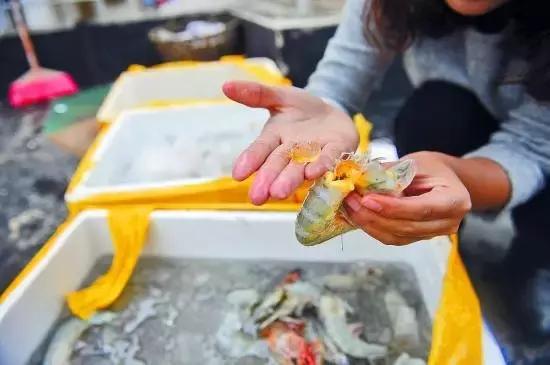 寿光羊口哪个海鲜好,寿光羊口开海节2022年