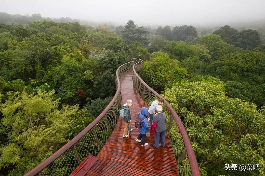 菜吧农庄创意设计,菜吧生态园规划