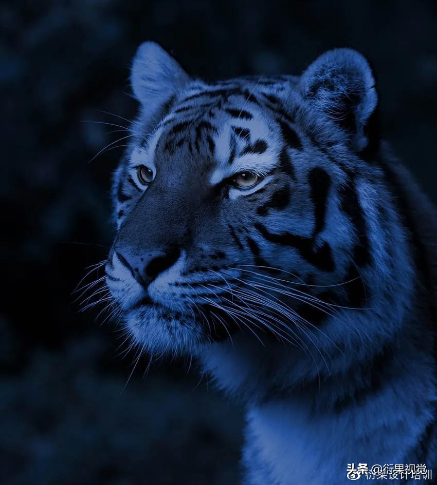 ps发光logo制作教程,ps软件教程制作发光特效