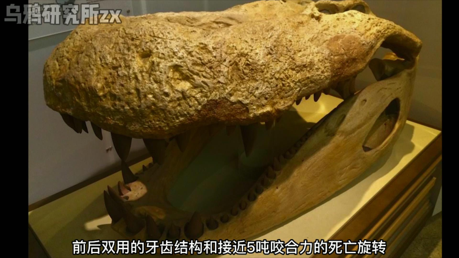 史前三大恐龙,远古三大巨鳄区别