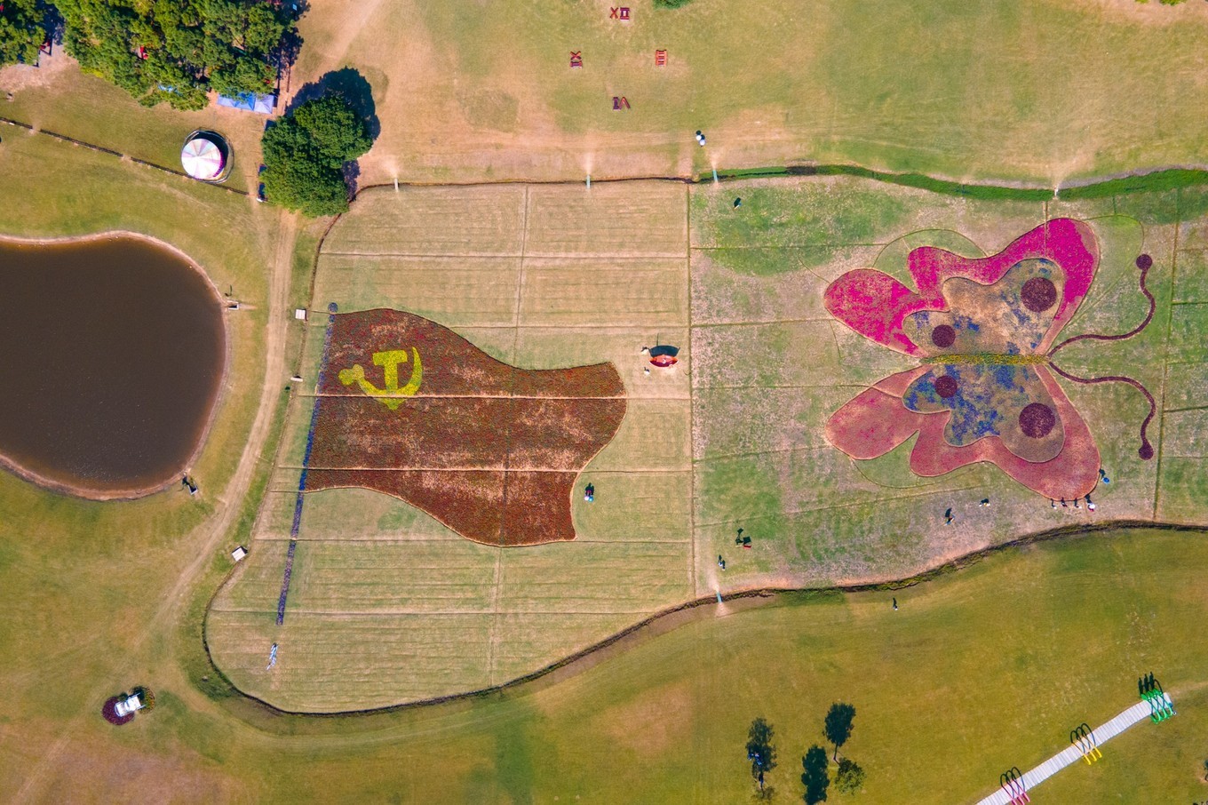 走进南京高淳,打卡网红打卡地固城湾景区,品尝固城湖螃蟹