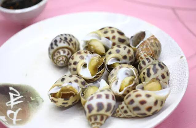 湛江一日游最佳景点湛江特呈岛,特呈岛湛江旅游攻略