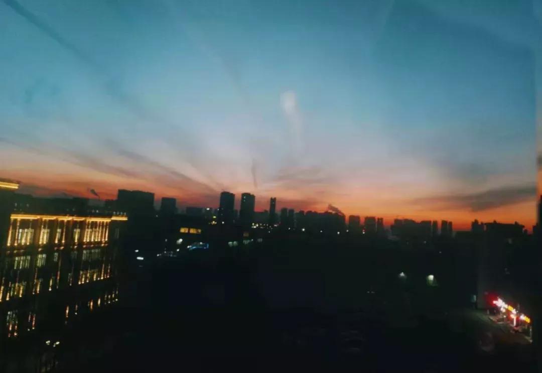 辽宁中医药大学杏林学院规模,辽宁中医学院杏林学院的排名