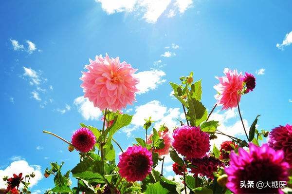 从确诊到恢复,从确诊到康复日记