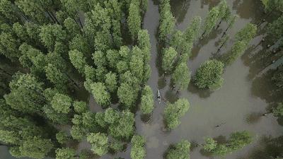 想去一个星空最美的地方露营,最美星空露营地