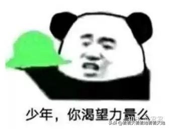 男人都是下半身动物？BBC来揭秘了！