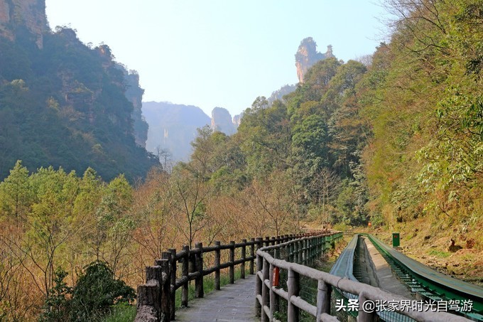 张家界森林公园亲子游攻略,张家界旅游攻略现在张家界气温