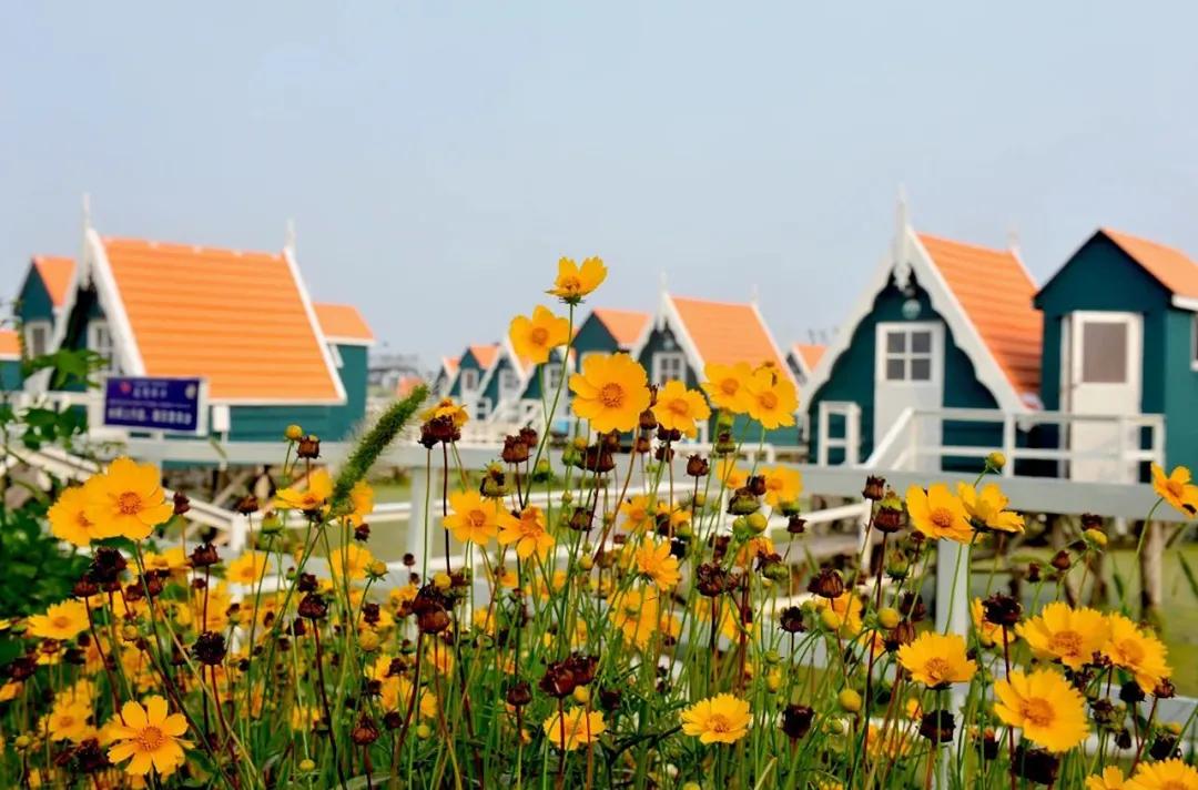 河北唐山海岛旅游攻略,唐山海岛