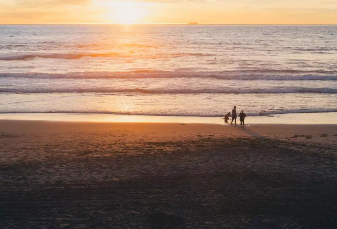好父母不吼不叫案例分享,好父母不吼不叫阅读