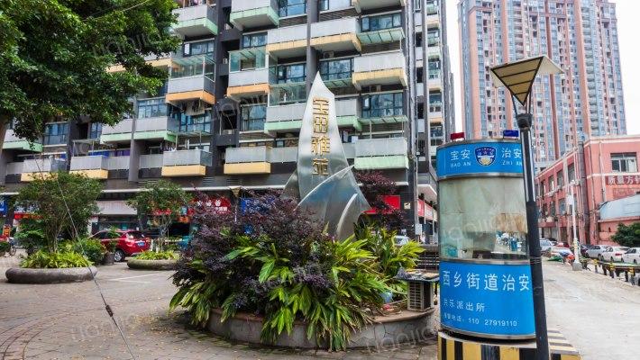 深圳女孩生猛买涨楼市,卖房的靓妹