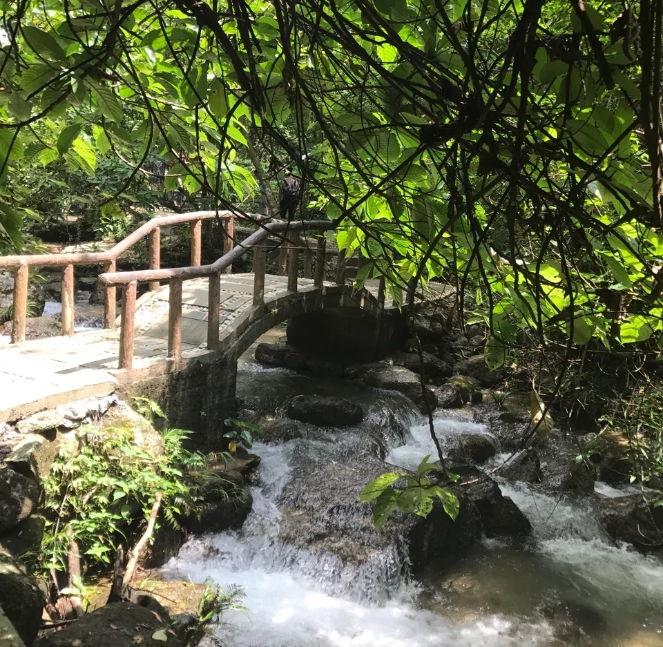 广西森林露营最佳的十大地点,大容山国家森林公园游玩攻略露营