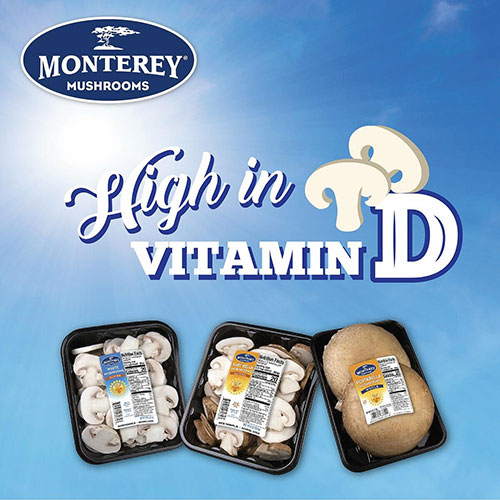 蘑菇怎么晒太阳,蘑菇需要晒太阳吗