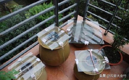 家庭自酿黄豆酱（酱油）-感受食品发酵的神奇