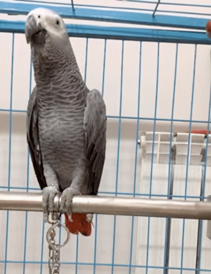 短视频以及电商生态研究报告,短视频与直播电商行业调研报告