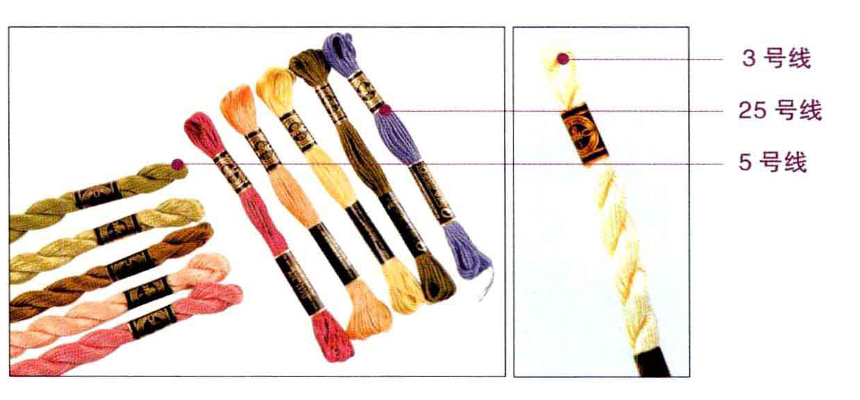 涨知识了原版视频,常用线的刺绣有哪些