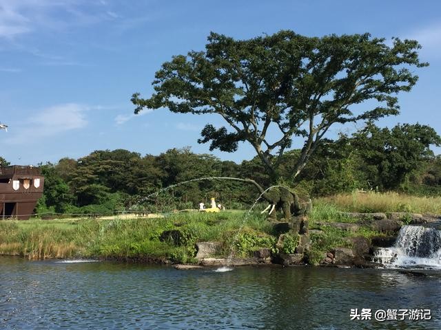 济州岛五天四晚超详细攻略，纯干货呦