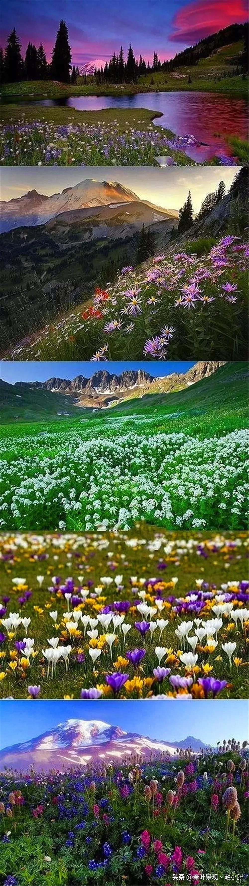 踏春寻美景,踏春赏花梯田漫步