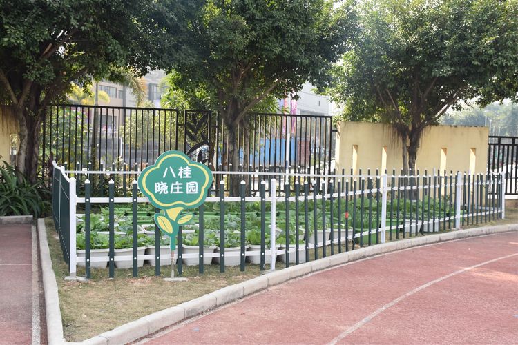 继往开来，绚丽“出彩”一一八桂绿城小学2018年工作汇报