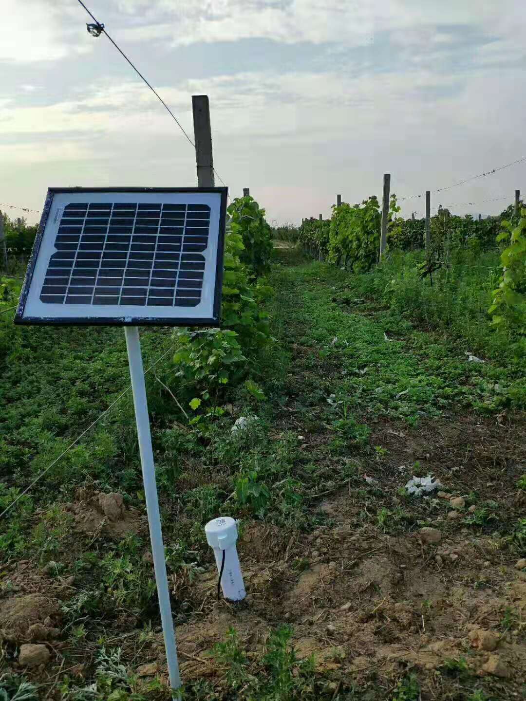 土壤含水量测定仪,进口手持土壤水分测定仪报价